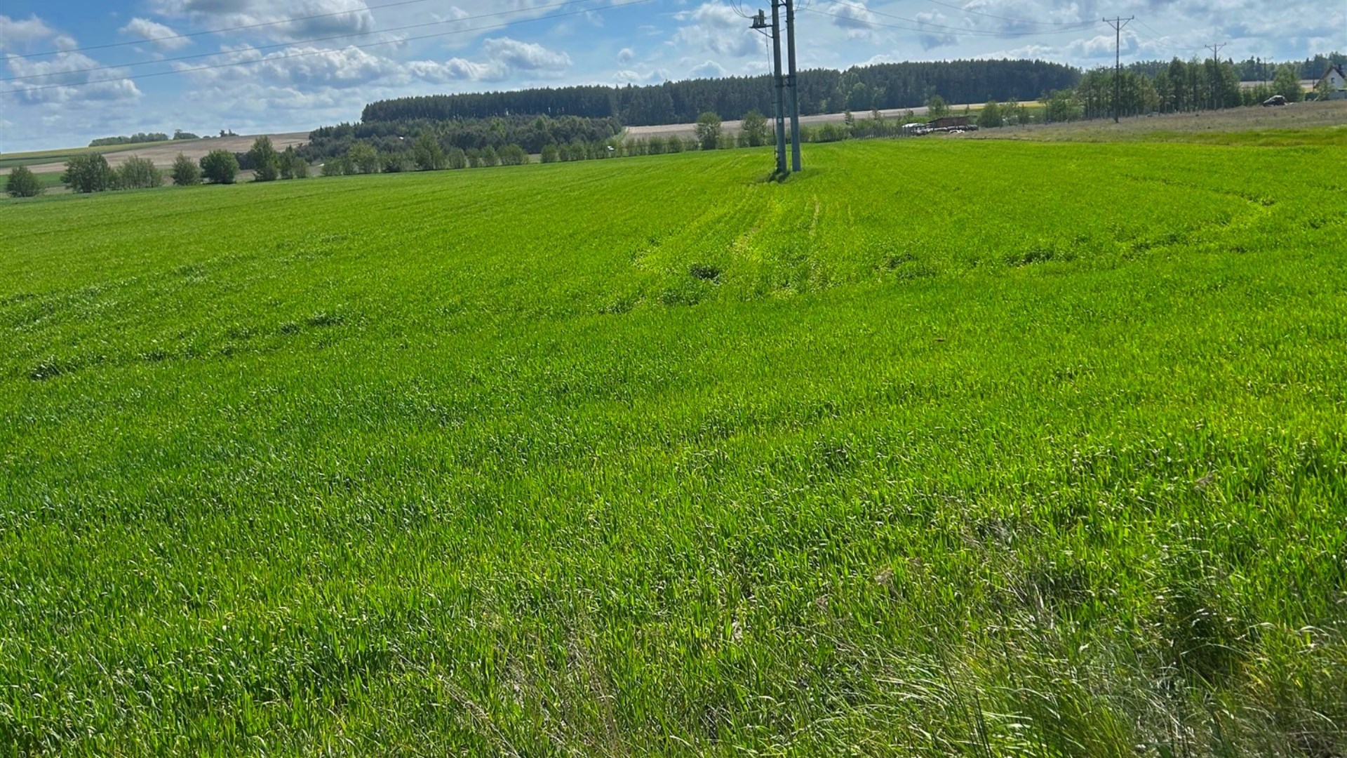 Działka na sprzedaż