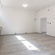 Lokal na wynajem