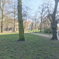 Kawalerka po generalnym remoncie Centrum.