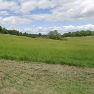 działka rolna 19 ha koło Węgorzyna