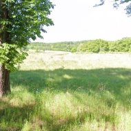 działka rolna 19 ha koło Węgorzyna