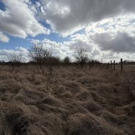 Działka z WZ w Wąwelnicy