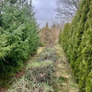  Dom z nagradzanym ogrodem/ duży taras/ garaż 