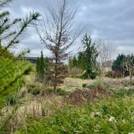  Dom z nagradzanym ogrodem/ duży taras/ garaż 