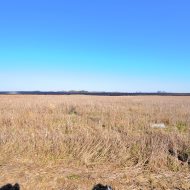 Działka gruntu w Dygowie