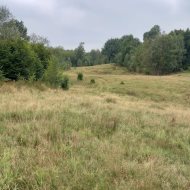 Działka nad jeziorem Dłusko Inwestycja 