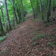 Działka nad jeziorem Dłusko Inwestycja 