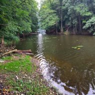 Działka nad jeziorem Dłusko Inwestycja 