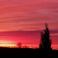 Dom jednorodzinny z osobnym garażem na 2 pojazdy