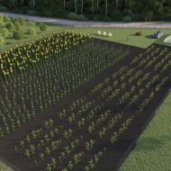 1/4 W DZIAŁCE rolnej nad malowniczym jeziorem