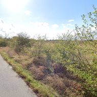 Działki rolne Kołbaskowo- Siadło Górne