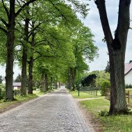 Dom wolnostojący z dużą działką, stajnią i garażem