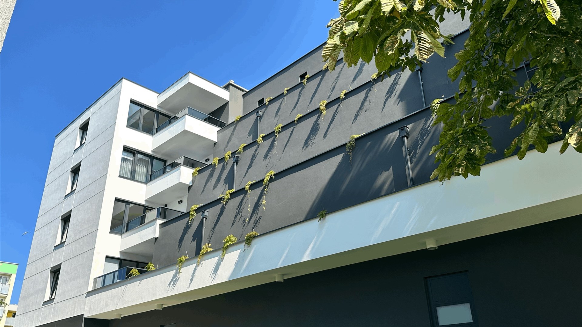 Duże, nowe mieszkanie z balkonem centrum Kołobrzeg