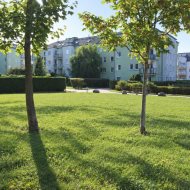 Spółdzielcze z KW * 3 pokoje * balkon *